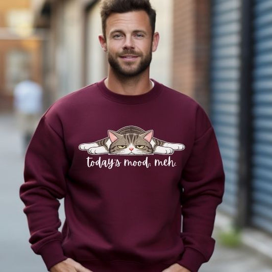 Today’s Mood: Meh Cat Sweatshirt, Funny Cat Sweatshirt, Sarcastic Cat Crewneck, Cute Lazy Cat Sweatshirt, Introvert Sweatshirt, Gift for Cat Lovers