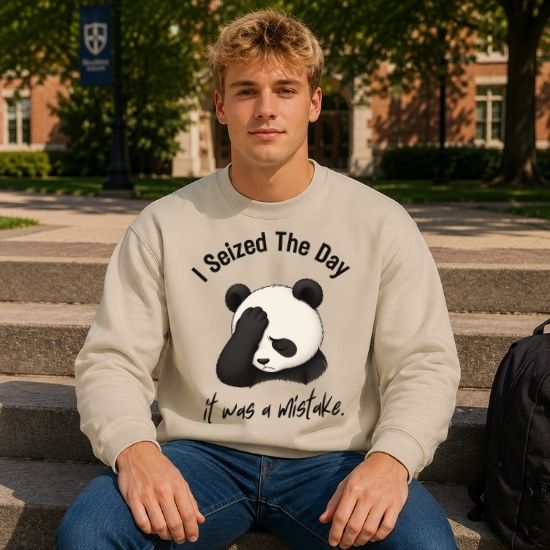 I Seized The Day It Was A Mistake Sweatshirt, Funny Panda Sweatshirt, Sarcastic Panda Crewneck, Introvert Humor Sweatshirt, Burnout Graphic Sweatshirt