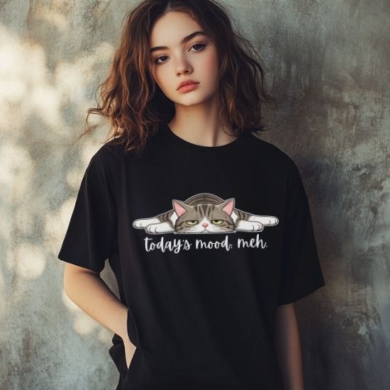 Today’s Mood Meh Cat T Shirt, Funny Cat Shirt, Sarcastic Graphic Tee, Cute Lazy Cat Tee, Introvert Mood Shirt, Gift for Cat Lovers