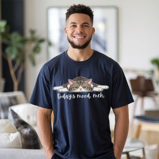 Today’s Mood Meh Cat T Shirt, Funny Cat Shirt, Sarcastic Graphic Tee, Cute Lazy Cat Tee, Introvert Mood Shirt, Gift for Cat Lovers