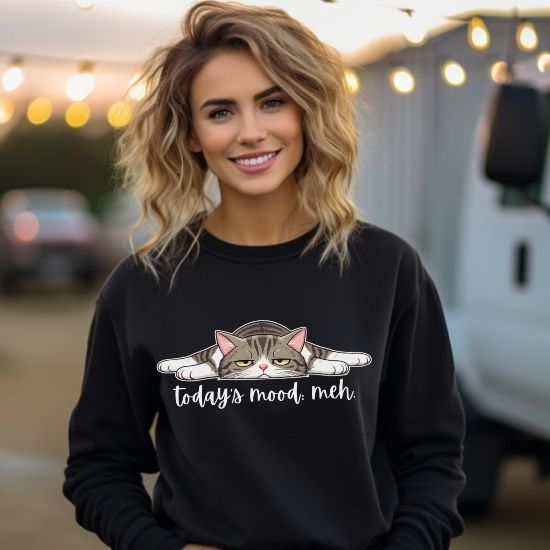 Today’s Mood: Meh Cat Sweatshirt, Funny Cat Sweatshirt, Sarcastic Cat Crewneck, Cute Lazy Cat Sweatshirt, Introvert Sweatshirt, Gift for Cat Lovers