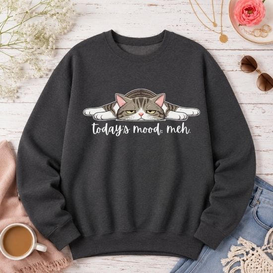 Today’s Mood: Meh Cat Sweatshirt, Funny Cat Sweatshirt, Sarcastic Cat Crewneck, Cute Lazy Cat Sweatshirt, Introvert Sweatshirt, Gift for Cat Lovers