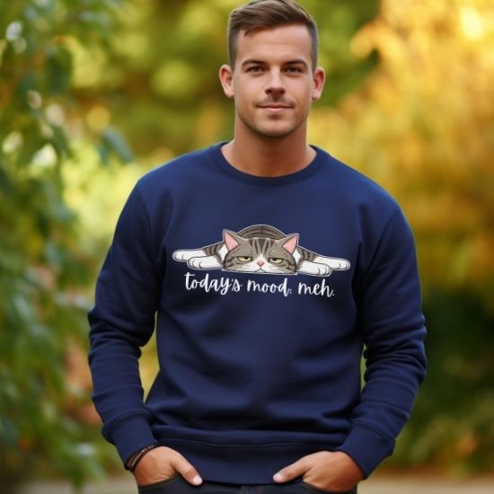 Today’s Mood: Meh Cat Sweatshirt, Funny Cat Sweatshirt, Sarcastic Cat Crewneck, Cute Lazy Cat Sweatshirt, Introvert Sweatshirt, Gift for Cat Lovers
