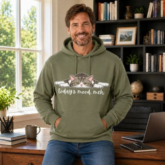 Today’s Mood: Meh Hoodie, Funny Cat Hoodie, Sarcastic Cat Sweatshirt, Cute Lazy Cat Hoodie, Introvert Hoodie, Gift for Cat Lovers