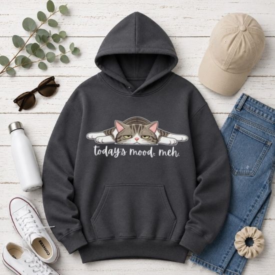 Today’s Mood: Meh Hoodie, Funny Cat Hoodie, Sarcastic Cat Sweatshirt, Cute Lazy Cat Hoodie, Introvert Hoodie, Gift for Cat Lovers