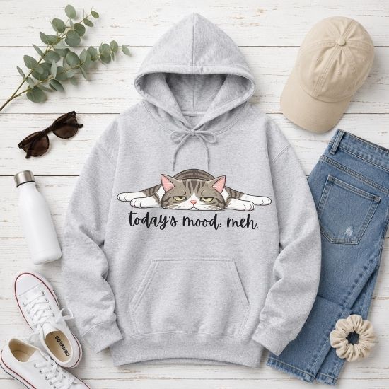 Today’s Mood: Meh Hoodie, Funny Cat Hoodie, Sarcastic Cat Sweatshirt, Cute Lazy Cat Hoodie, Introvert Hoodie, Gift for Cat Lovers
